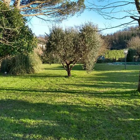 Casa Pilar Βίλα Capannori Εξωτερικό φωτογραφία