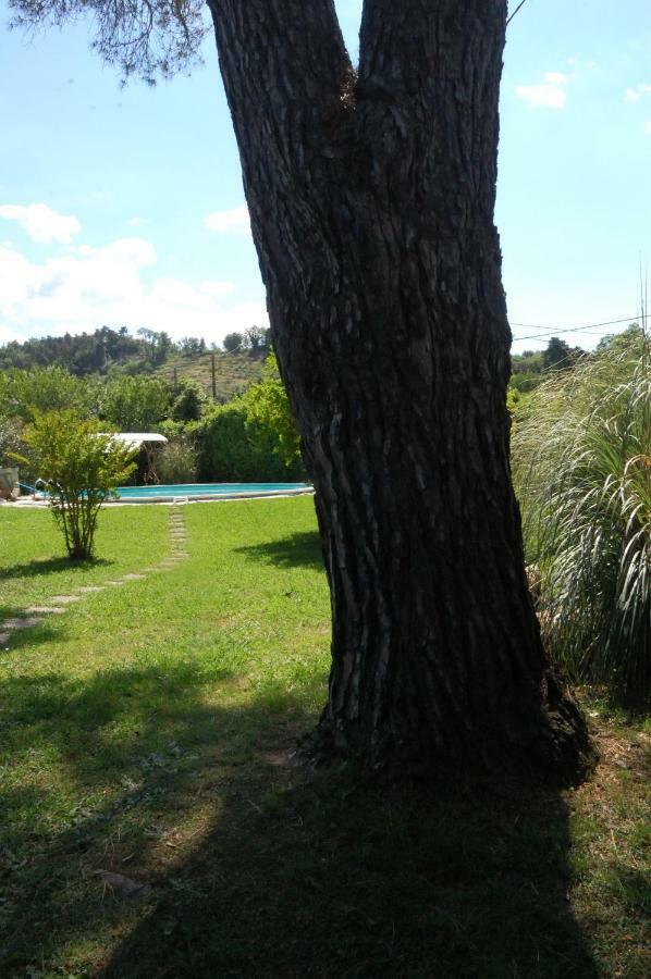 Casa Pilar Βίλα Capannori Εξωτερικό φωτογραφία